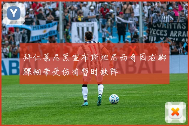 拜仁慕尼黑宣布斯坦尼西奇因右脚踝韧带受伤将暂时缺阵