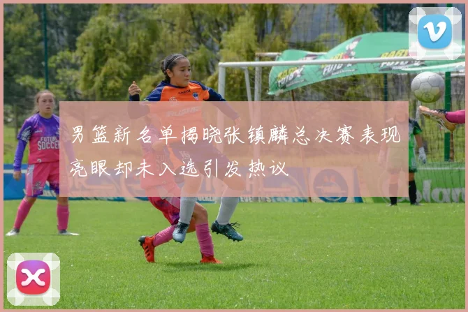 男篮新名单揭晓张镇麟总决赛表现亮眼却未入选引发热议